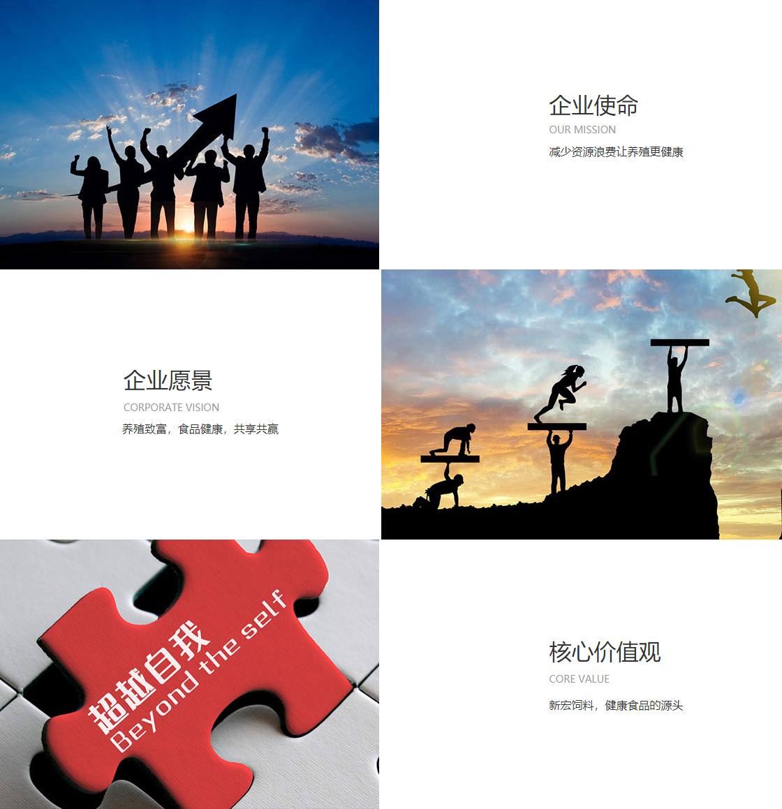 od官方官网(图1)
